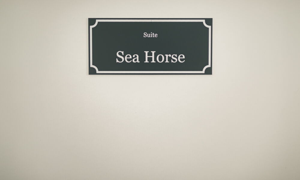 Sea Horse
