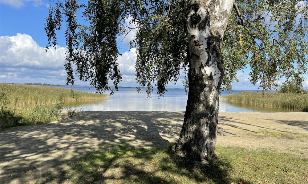 Ostseelodge eins